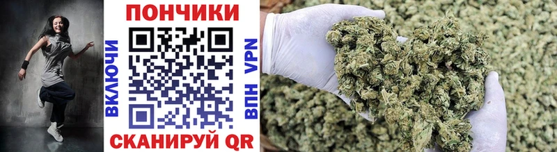 Канабис OG Kush  Купить  Орлов 